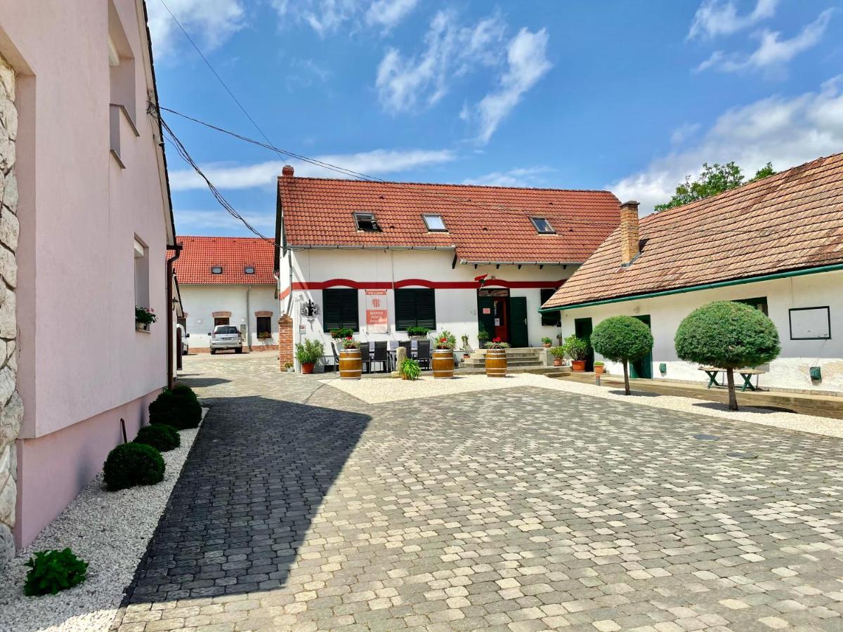 Mayer Pince Panzio Villany Exterior photo
